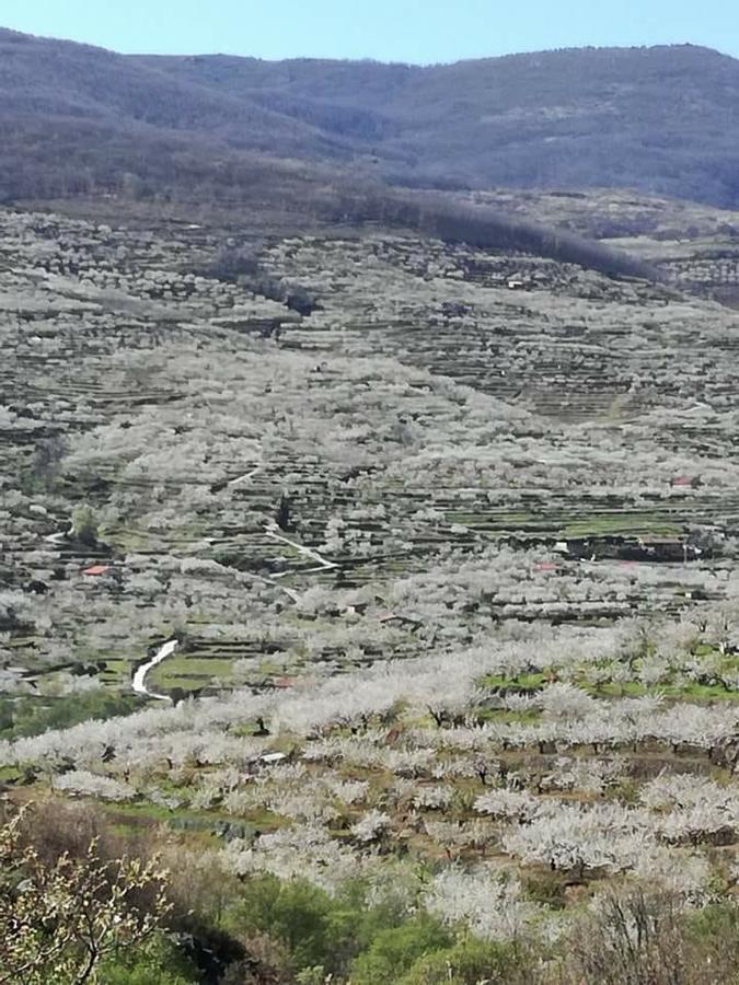 Rincon Del Valle Del Jerte Navaconcejo