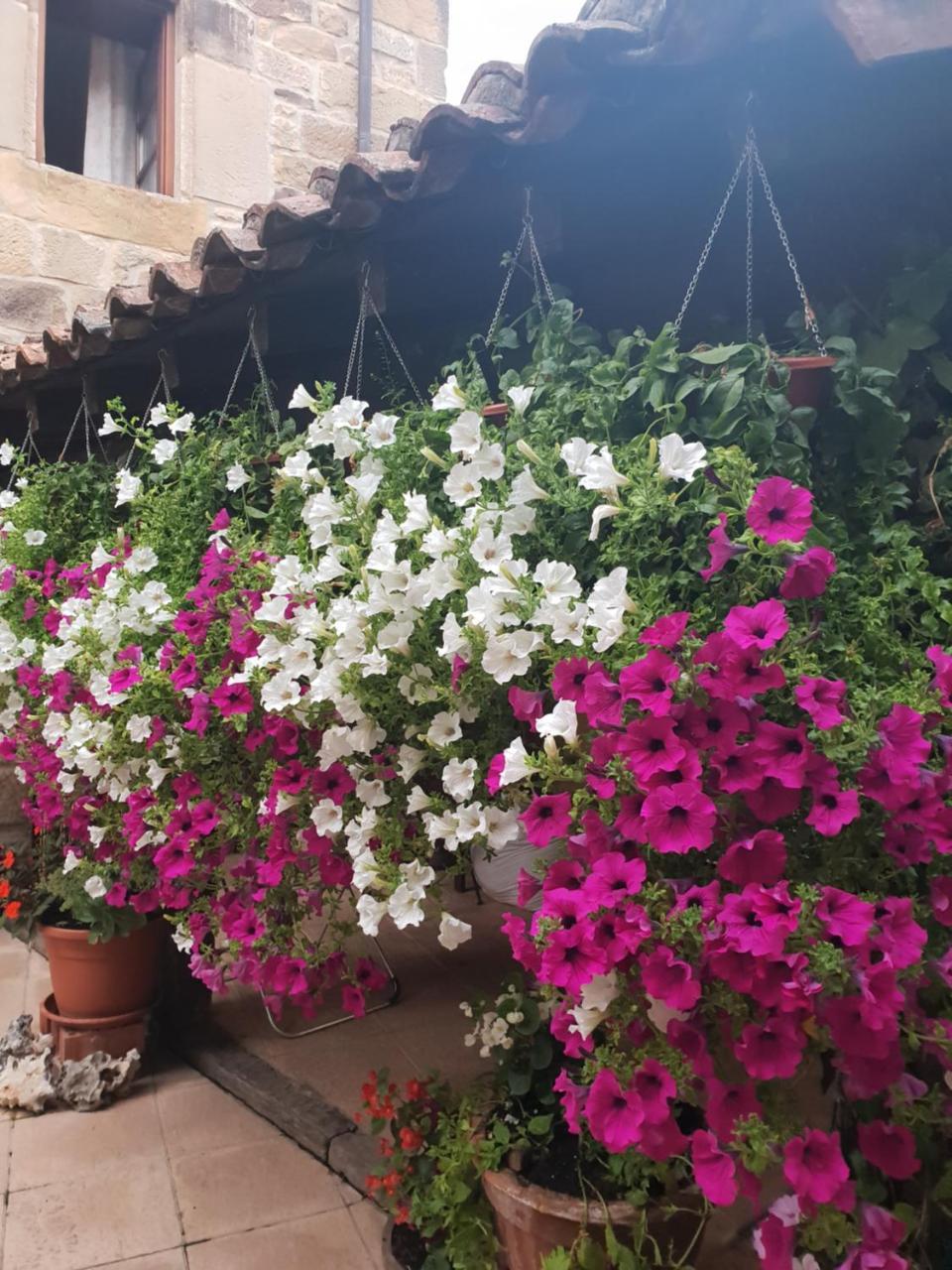Country house El Cuartelillo Viejo *