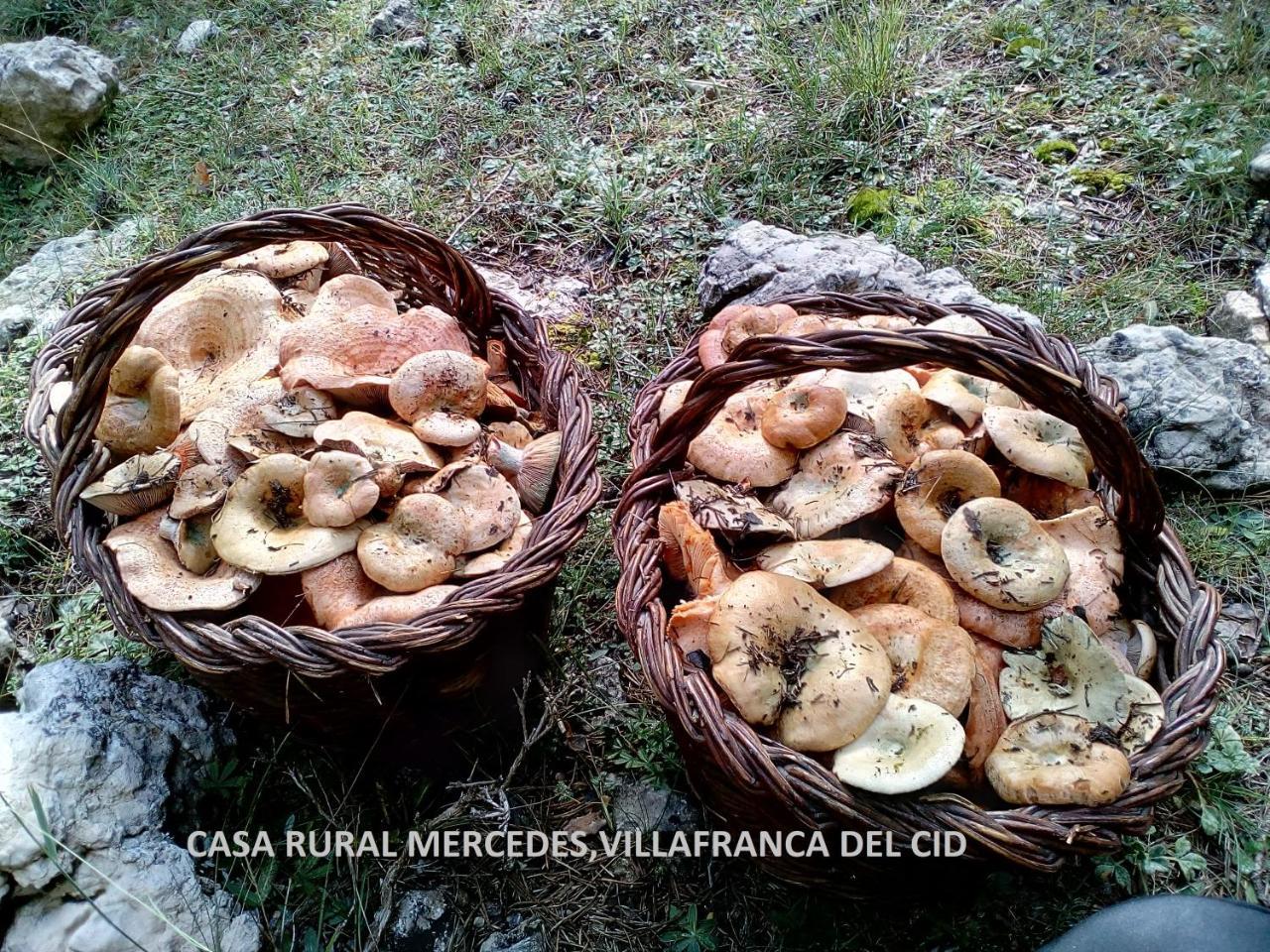 Casa Mercedes *