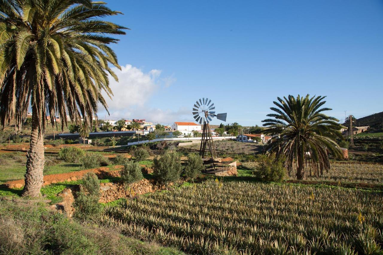 Mary Villa