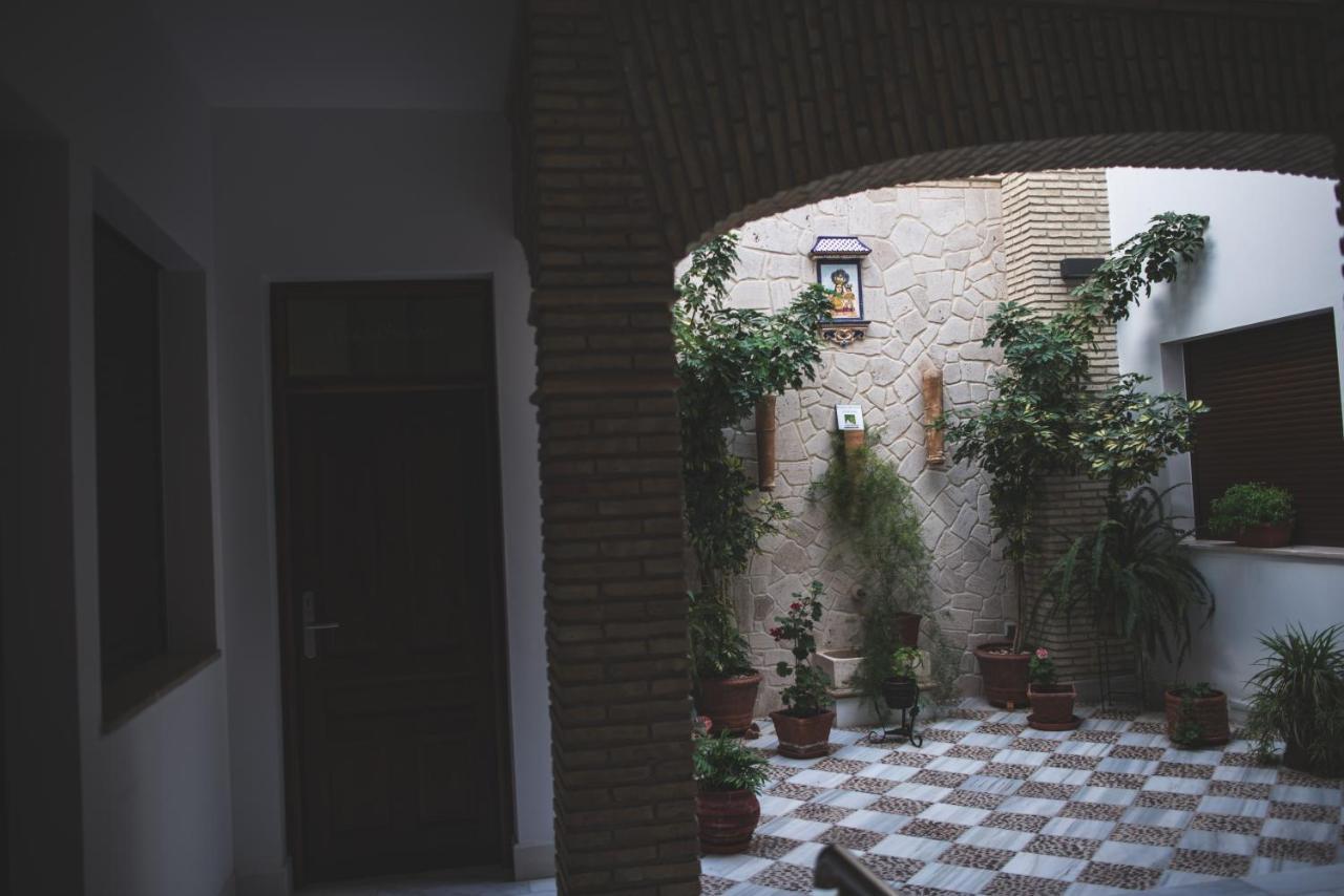 Apartment Posada De Momo