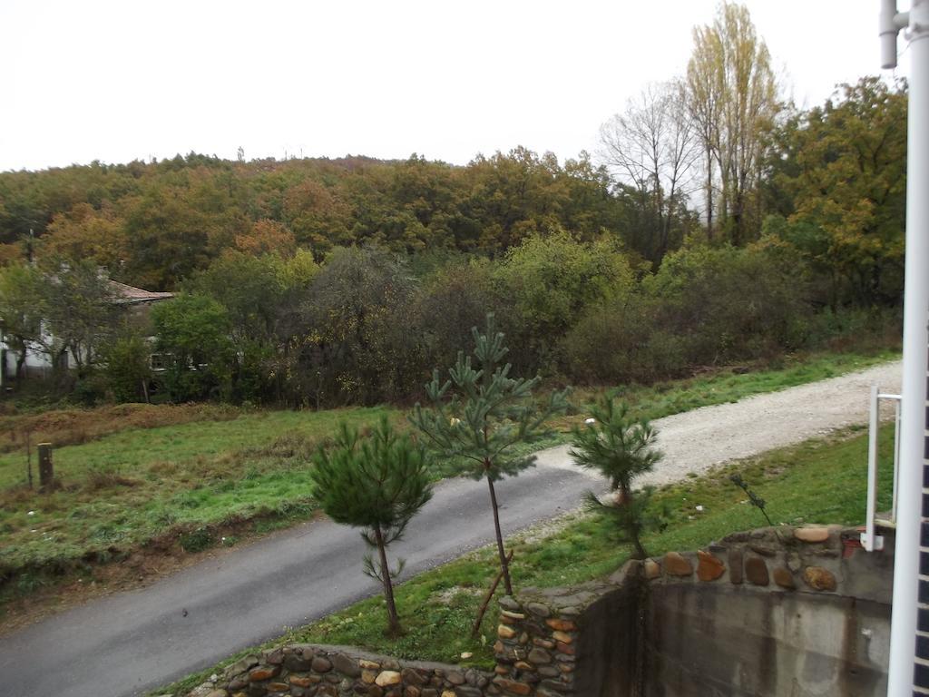 Montana Palentina 2* Guardo