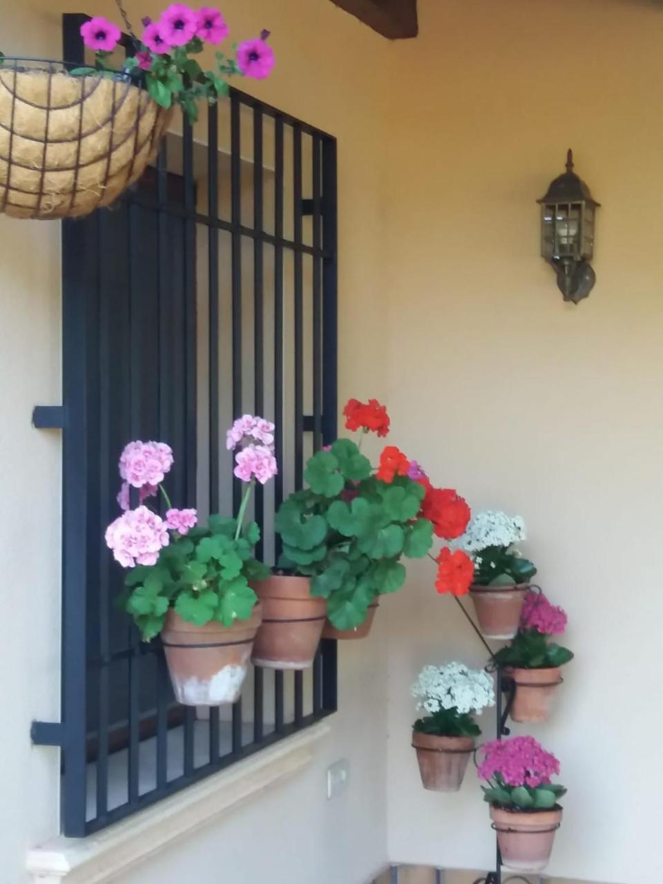 Country house Cortijo Bellavista *