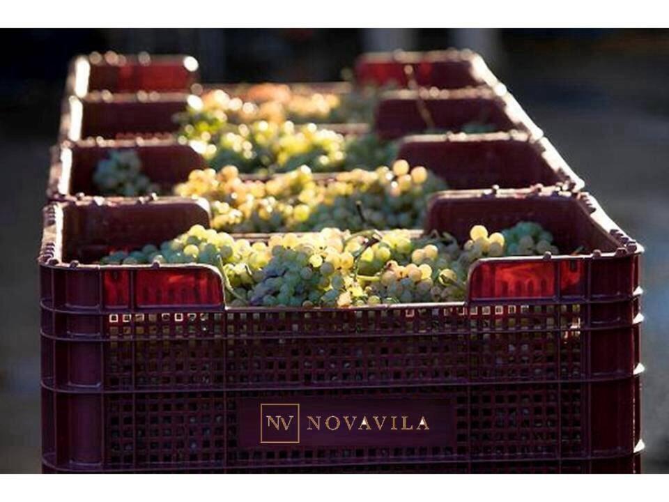 Enoturismo Novavila Rias Baixas Wine Design Meis