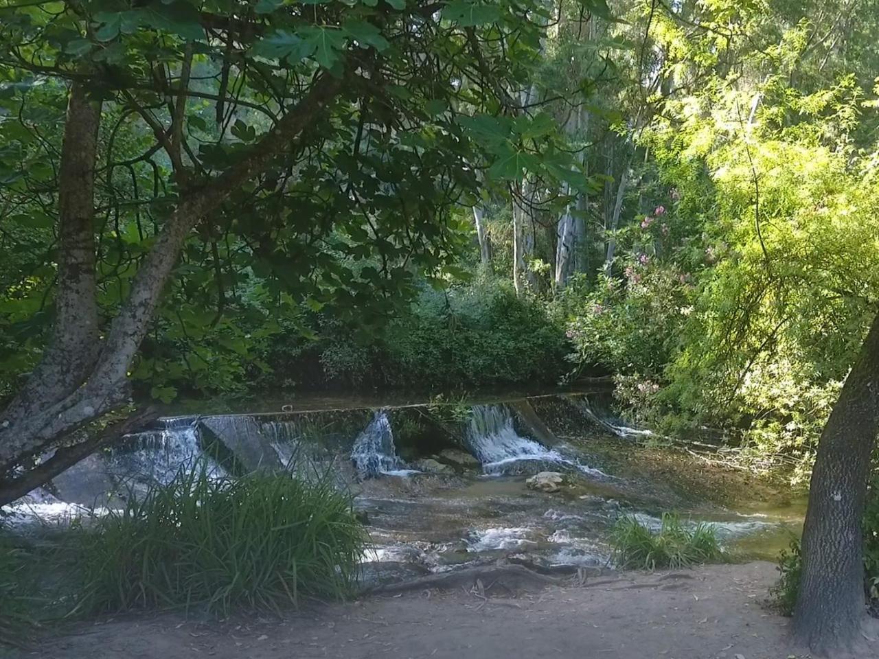 Casa Gil El Bosque