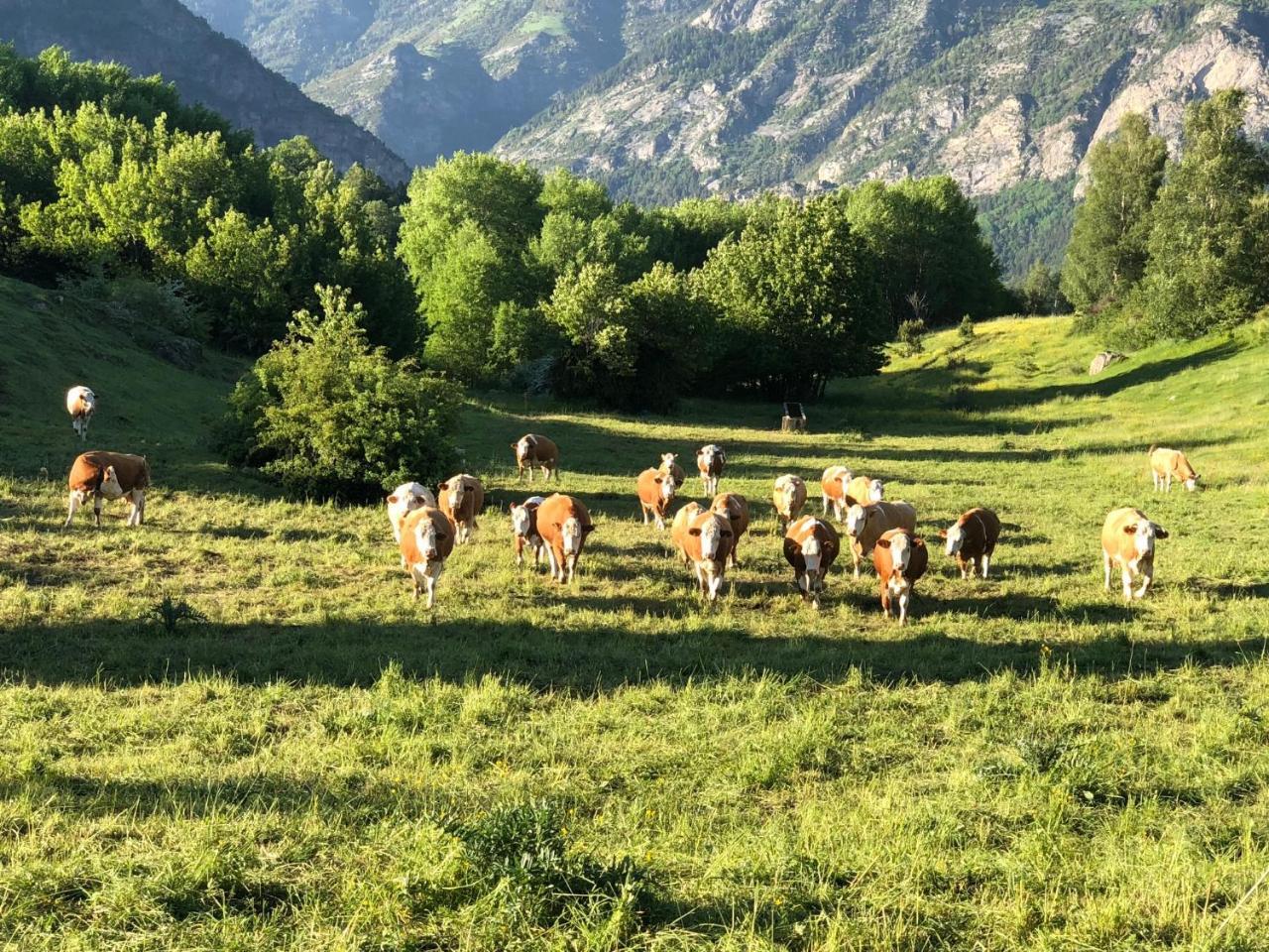 Apartamento Turisticos Lavedan Tramacastilla de Tena