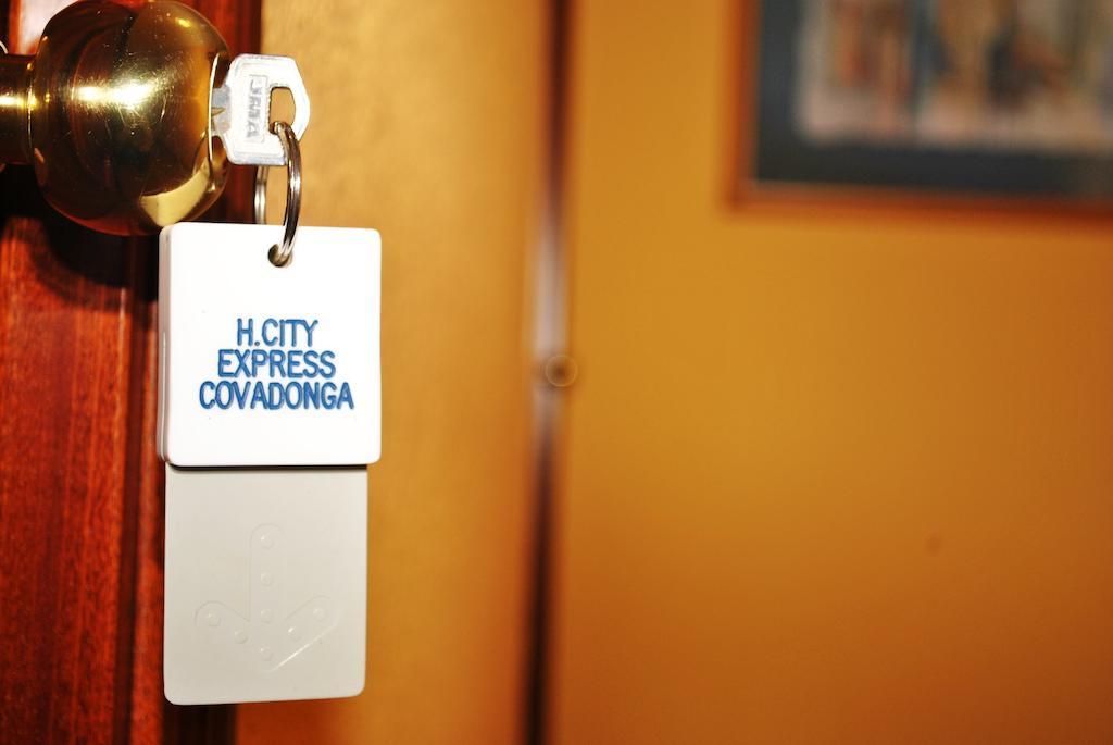 Express Covadonga Hotel 2*