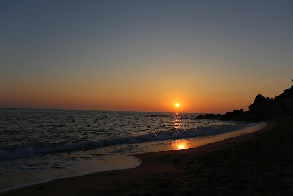 El Celemin De Conil Bed & Breakfast