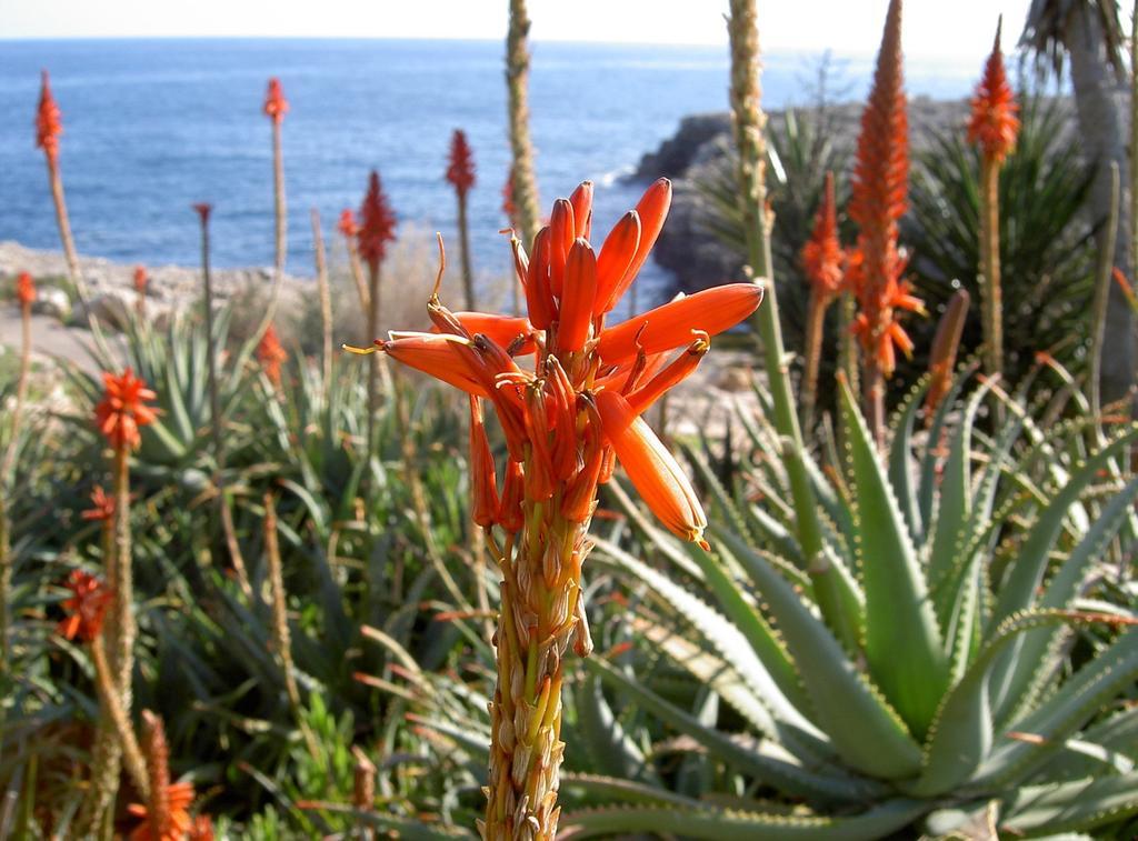 Resort Parque Mar