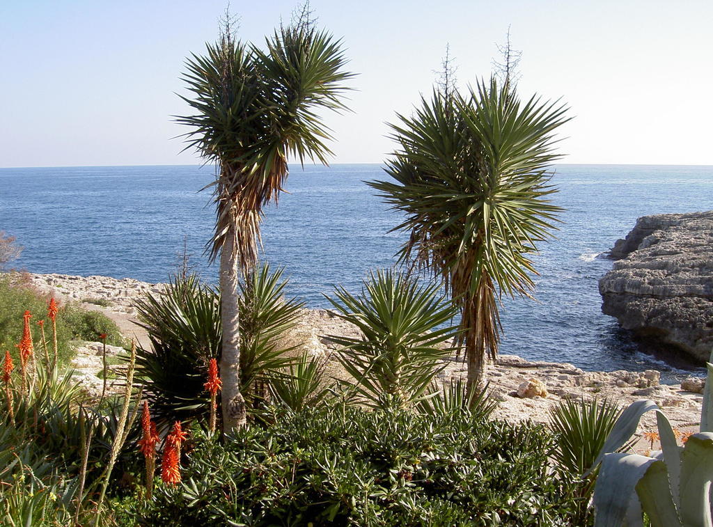 Parque Mar Resort 3*