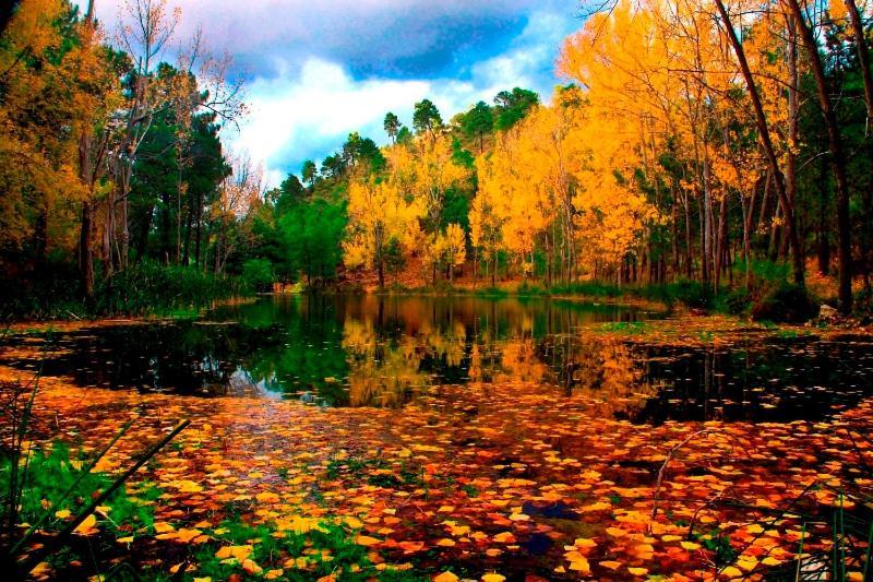 Nacimiento Rio Mundo * Riopar