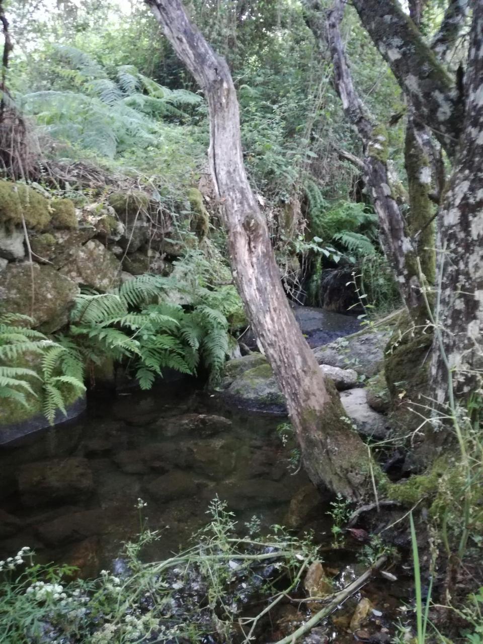 Casa rural Mirador Del Valle *