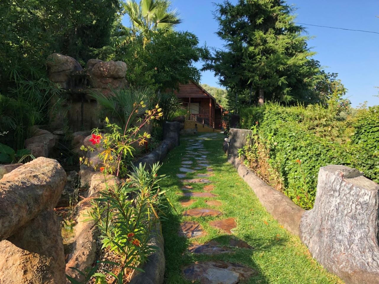 Cabanas De Madera Y - Gilmanas 3