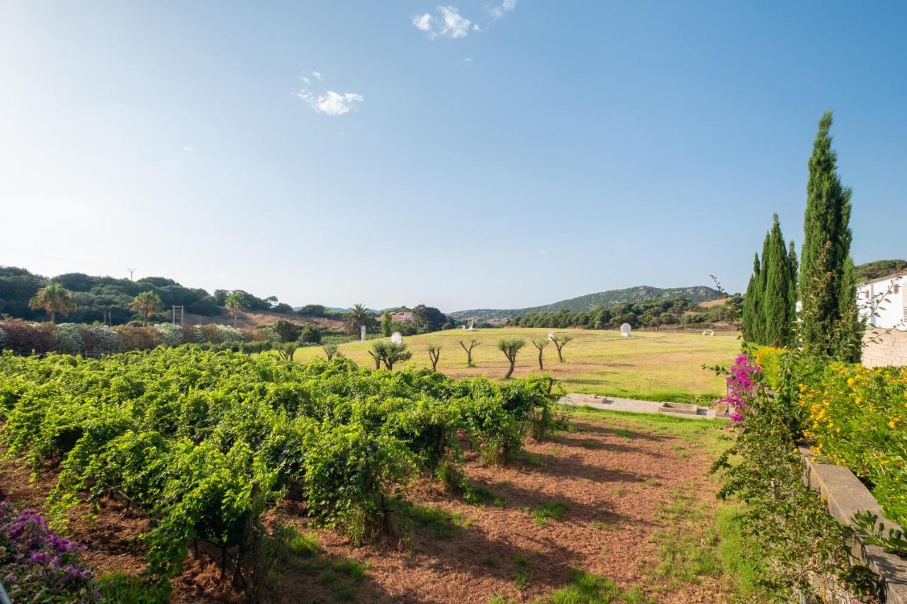 Rural Sant Patrici (adults Only)