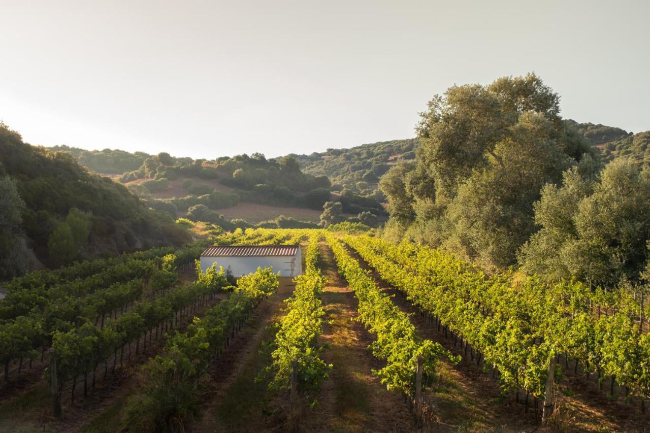 Rural Sant Patrici (adults Only) Hotel 3*