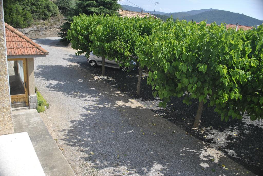 El Violí Pensión Cardona