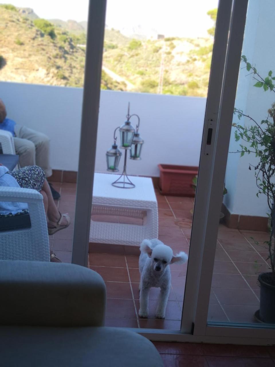 Joya Del Mar Apartment *
