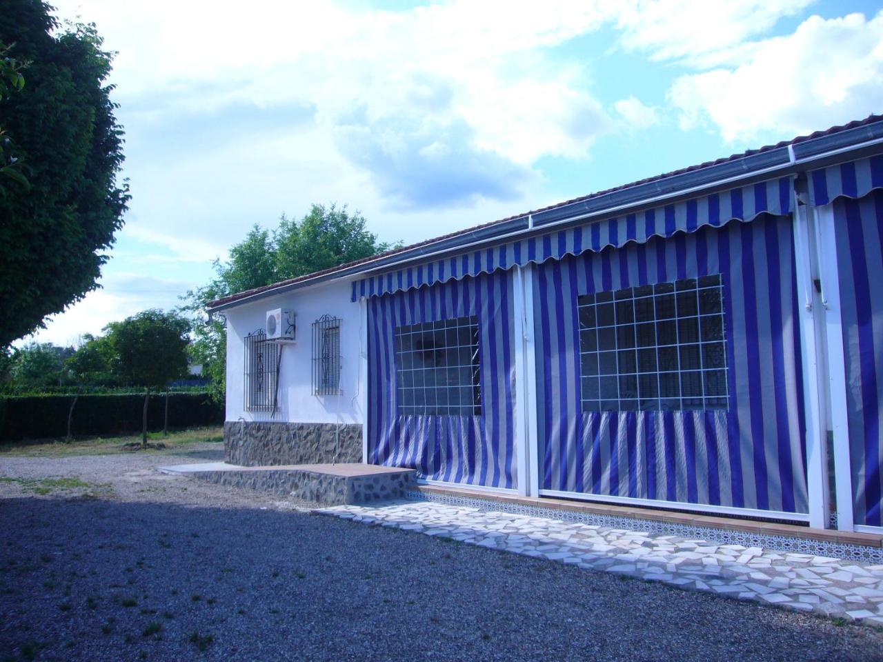 El Olmo