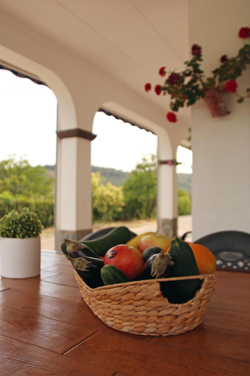 El Olmo Country house *