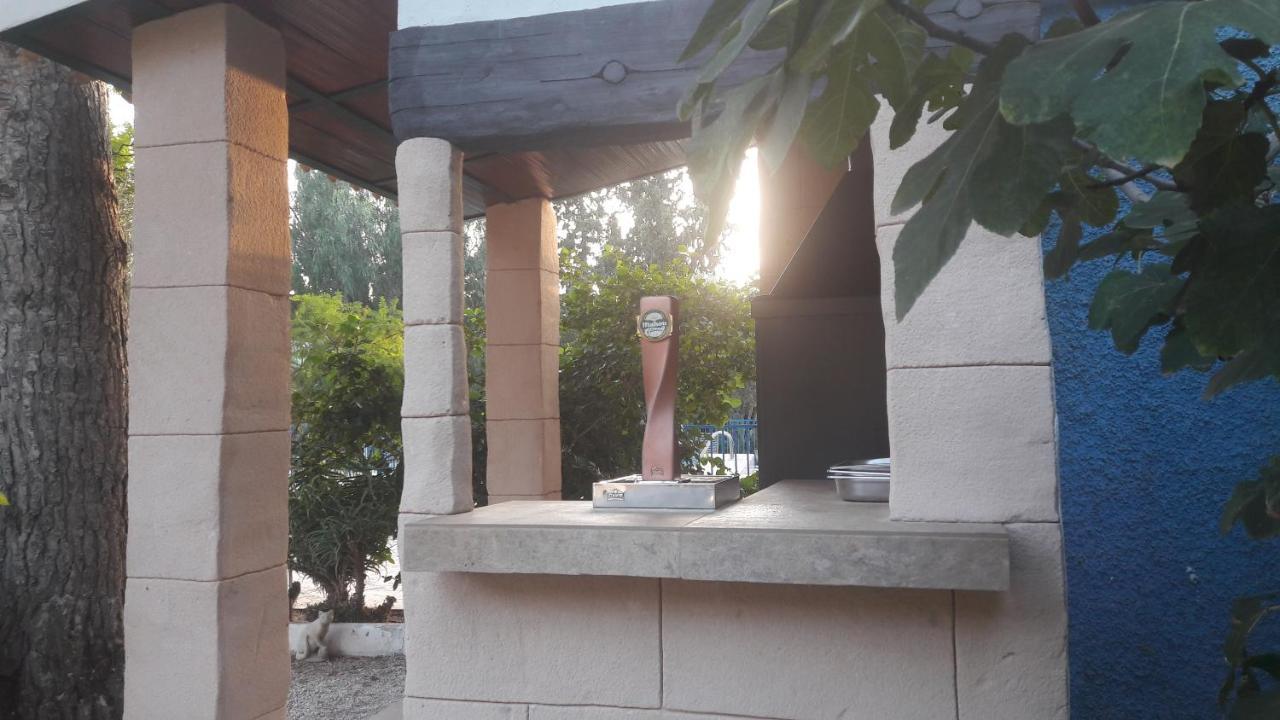 Mi Campo