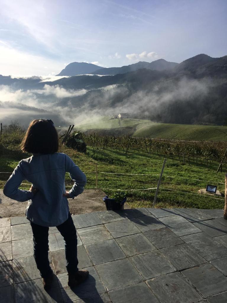 Erlete Goikoa -estamos En El Camino De Santiago -we Are On The Camino De Santiago Country house *