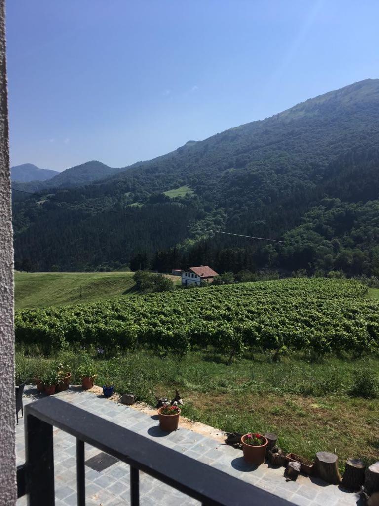 Erlete Goikoa -estamos En El Camino De Santiago -we Are On The Camino De Santiago Country house Deba