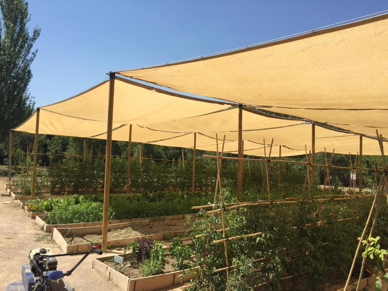 Centro De Agroecologia Y Medio Ambiente De Murcia * Bullas