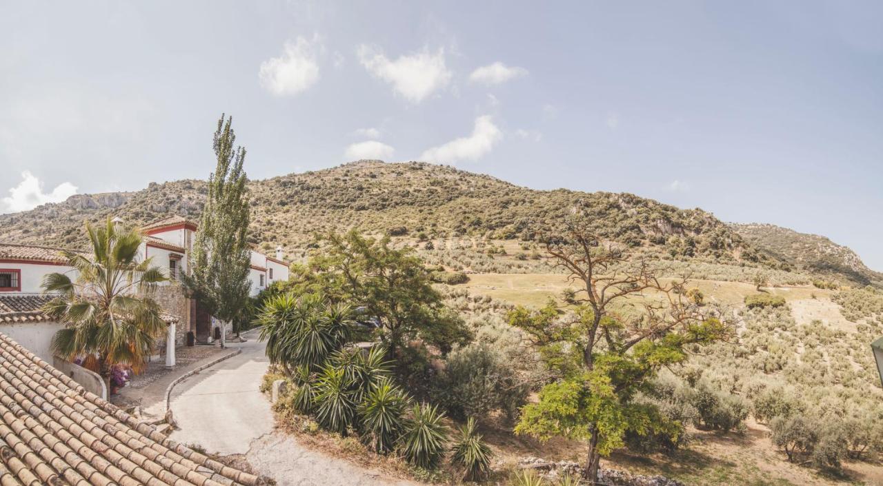 Hacienda Minerva 4*
