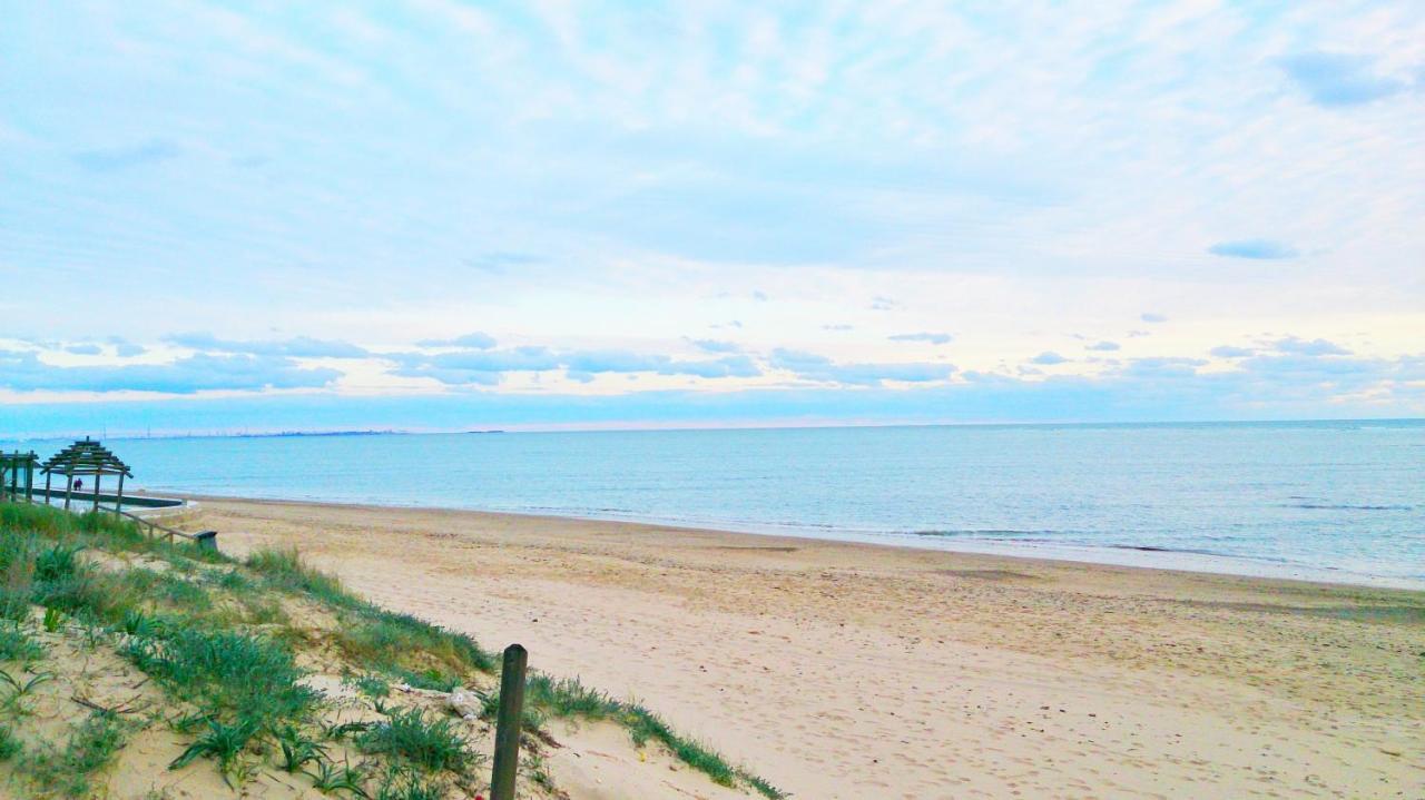 Dunas Y Luz *