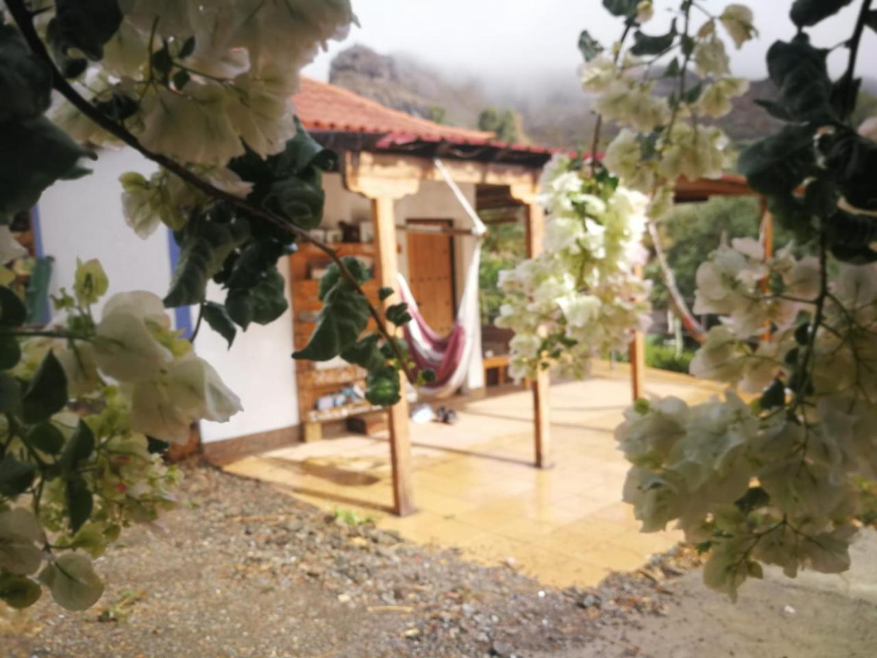 Ecotara Canary Islands Eco-villa Retreat Casa rural