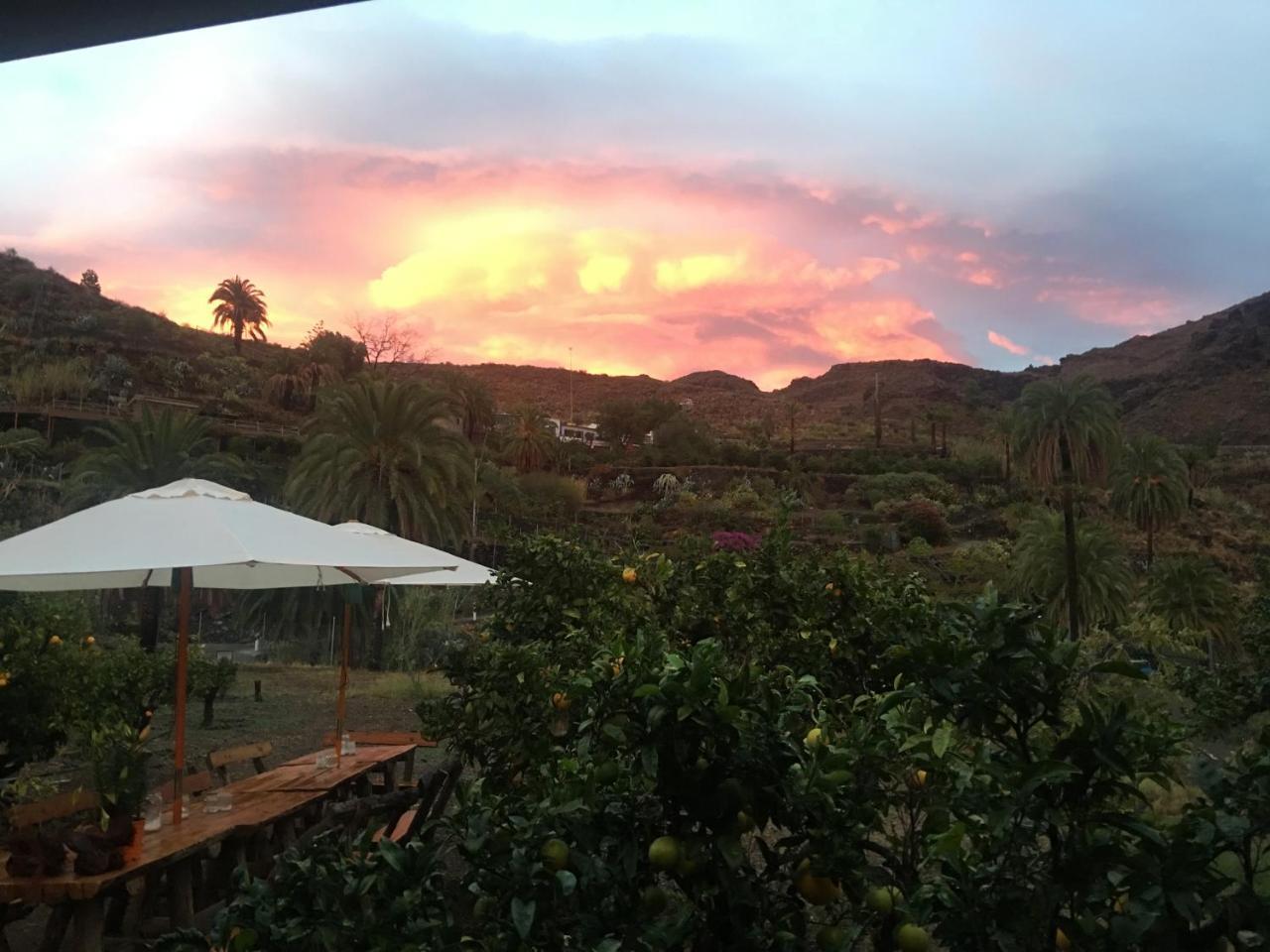 Ecotara Canary Islands Eco-villa Retreat * Fátaga