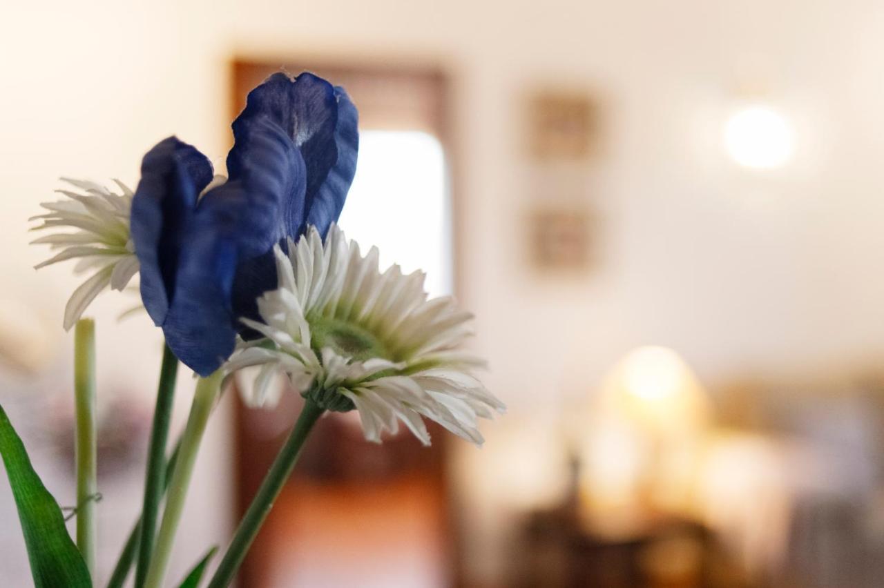 La Loma Country house Nohales