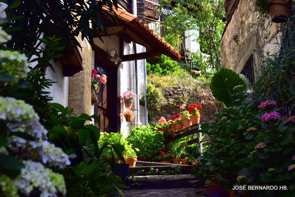 Country house Amparo Mogarraz