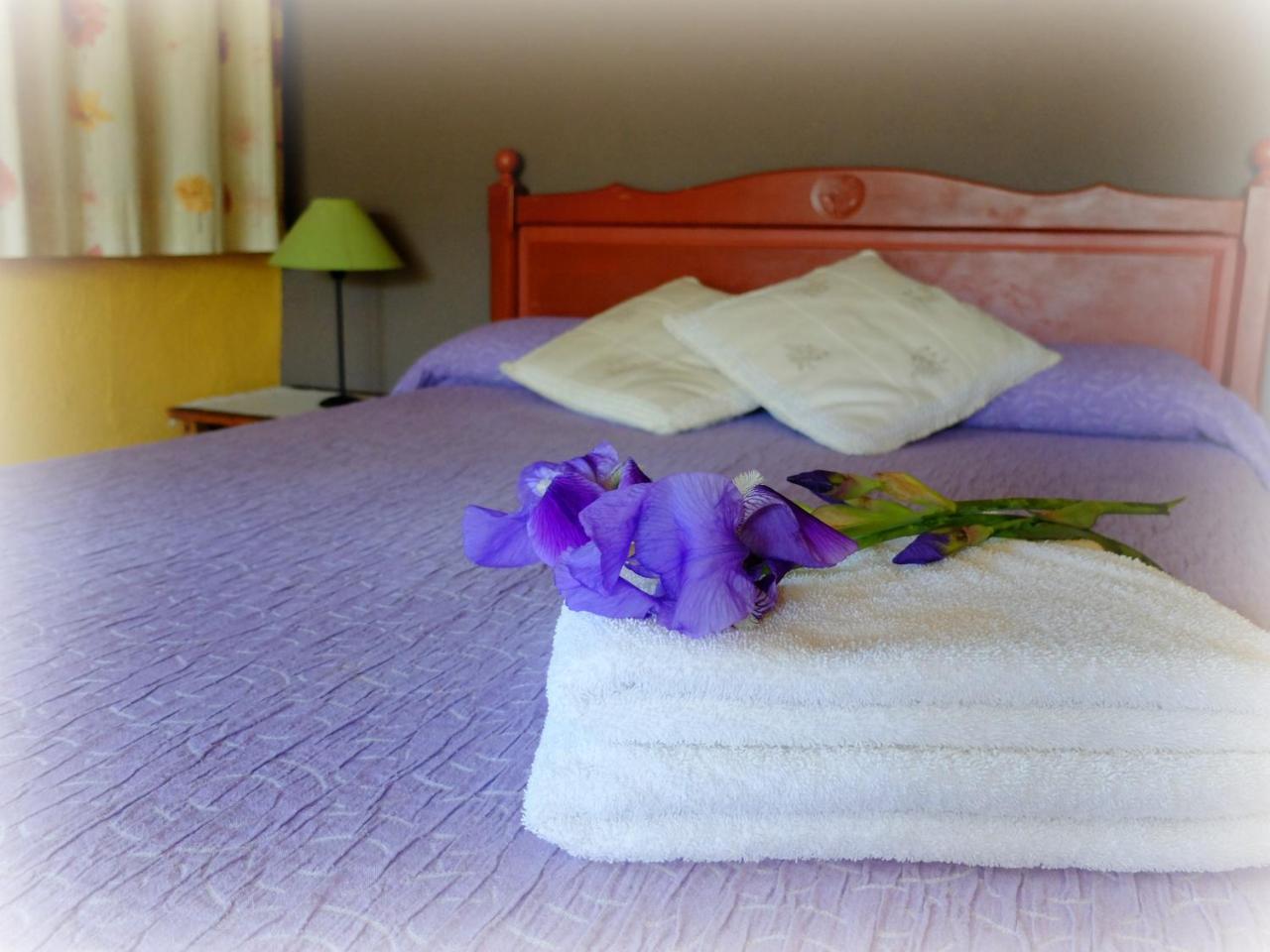 Mas Violella Rural Country house *