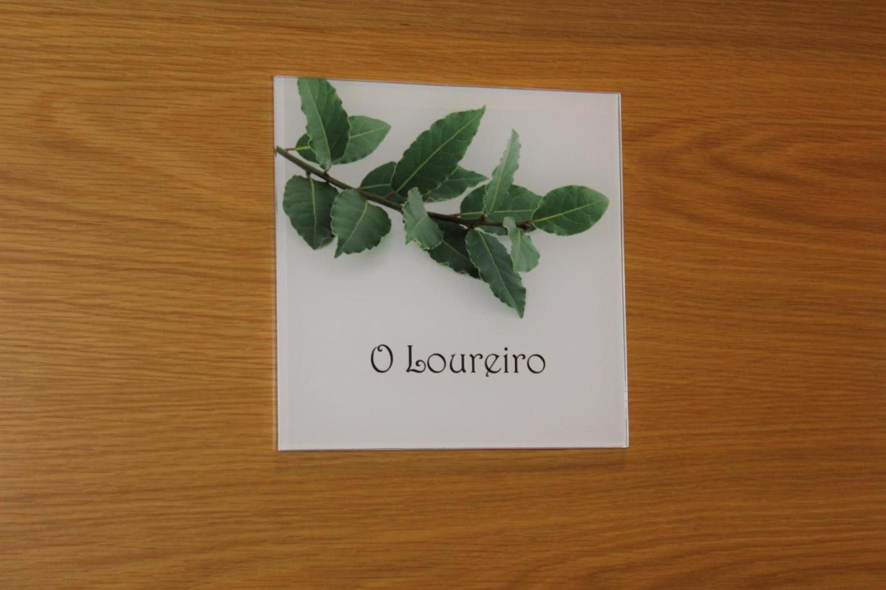 A Carballeira Do Tambre Apartment Troitosende
