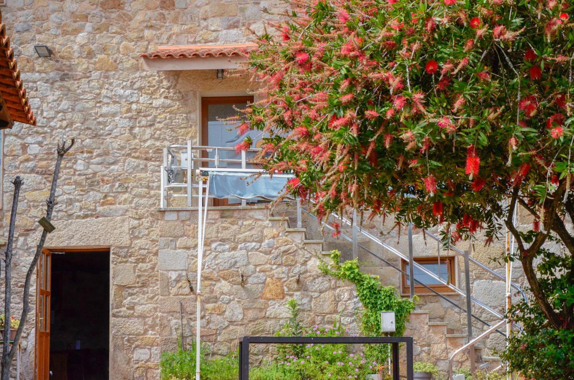 Sursum Corda Guest house Ribeira