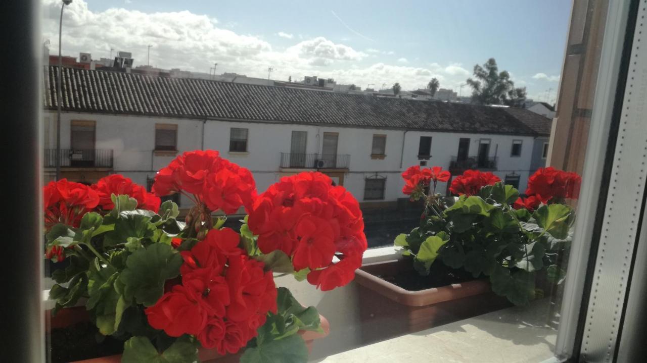 Abadi Córdoba
