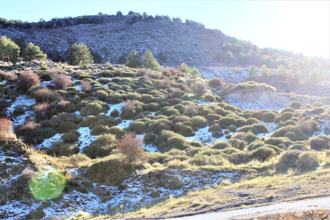 Sulayr