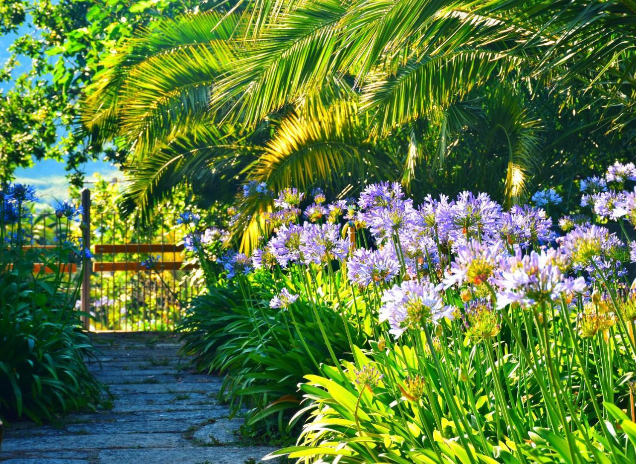 Quinta De San Amaro Y Restaurante