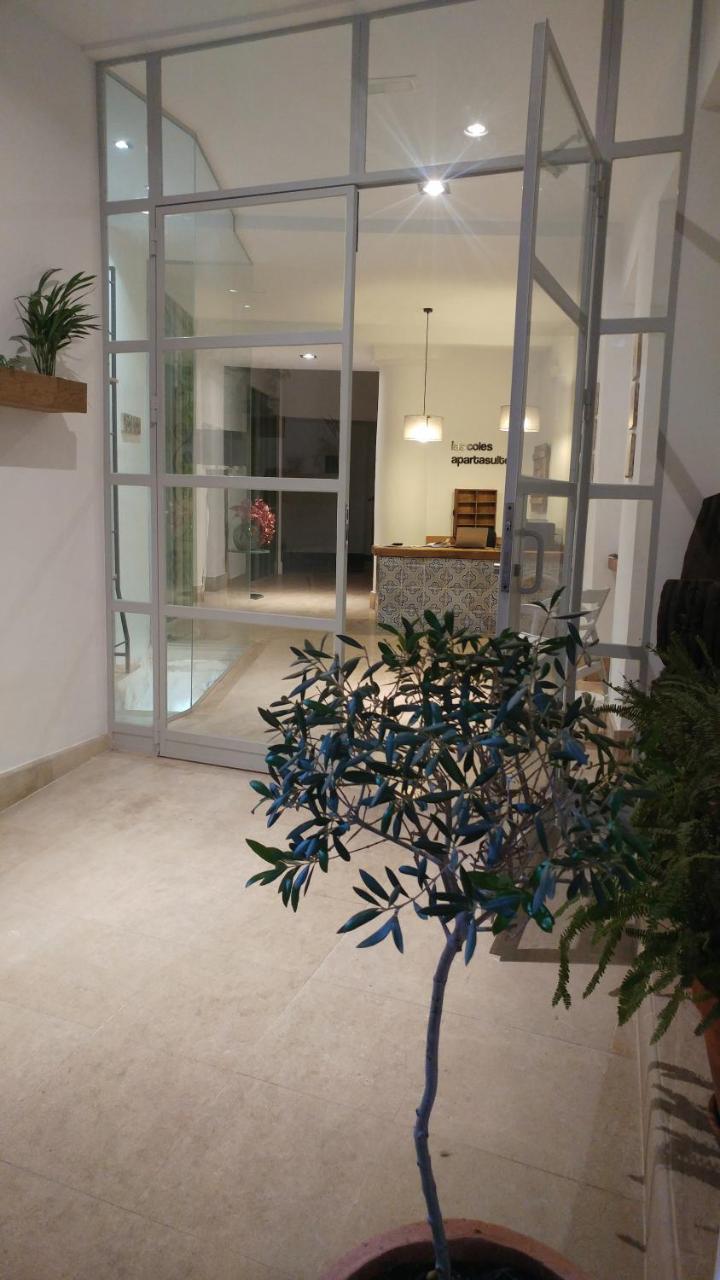 Apartment Coles Apartasuites Xativa