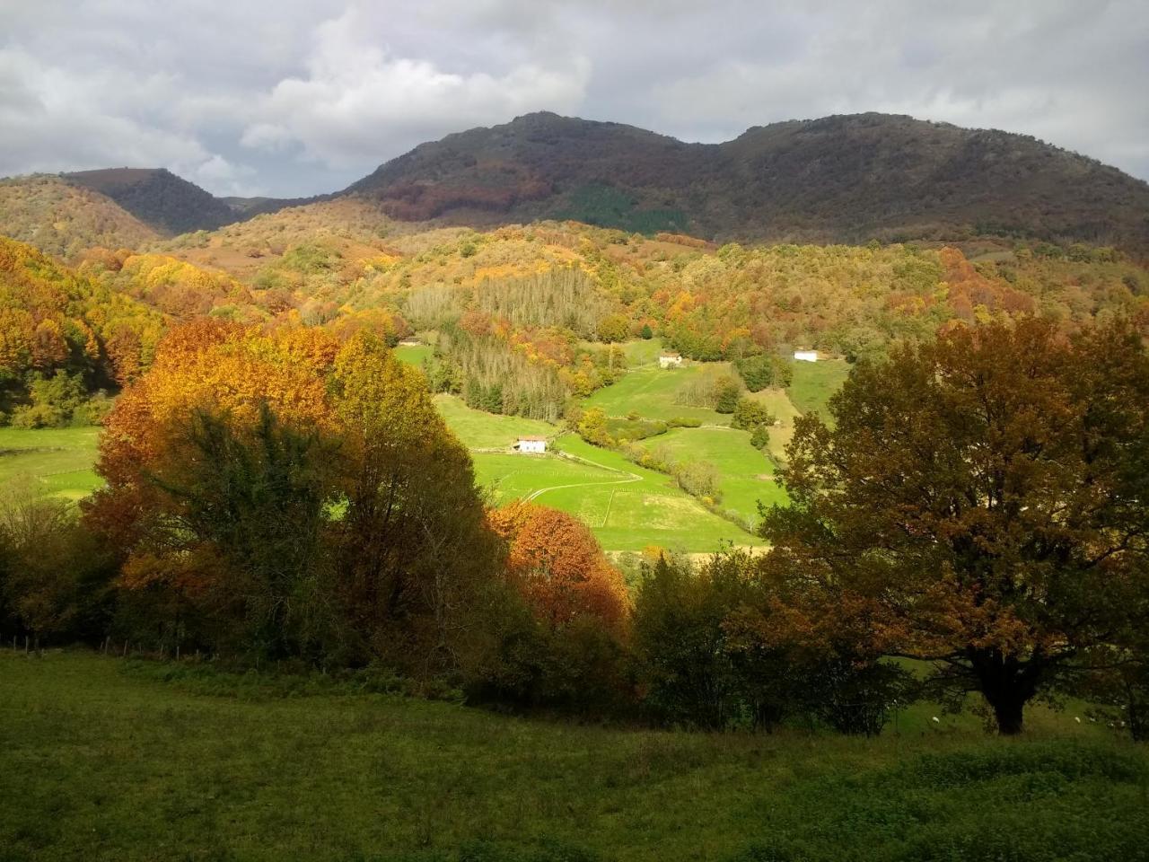 Alberroakoborda