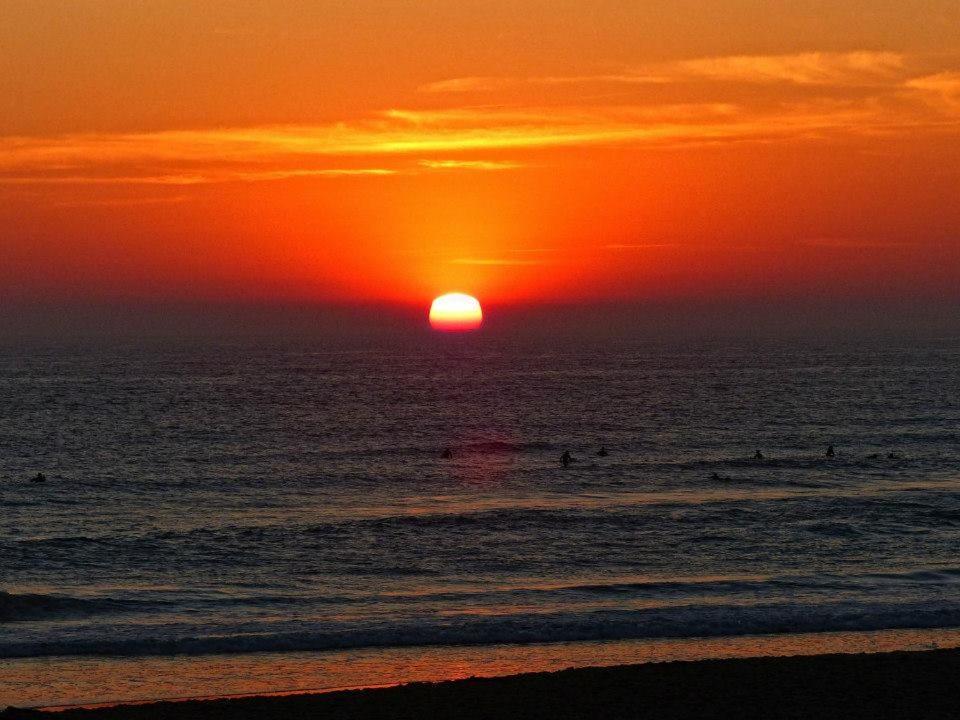 El Palmar 3*
