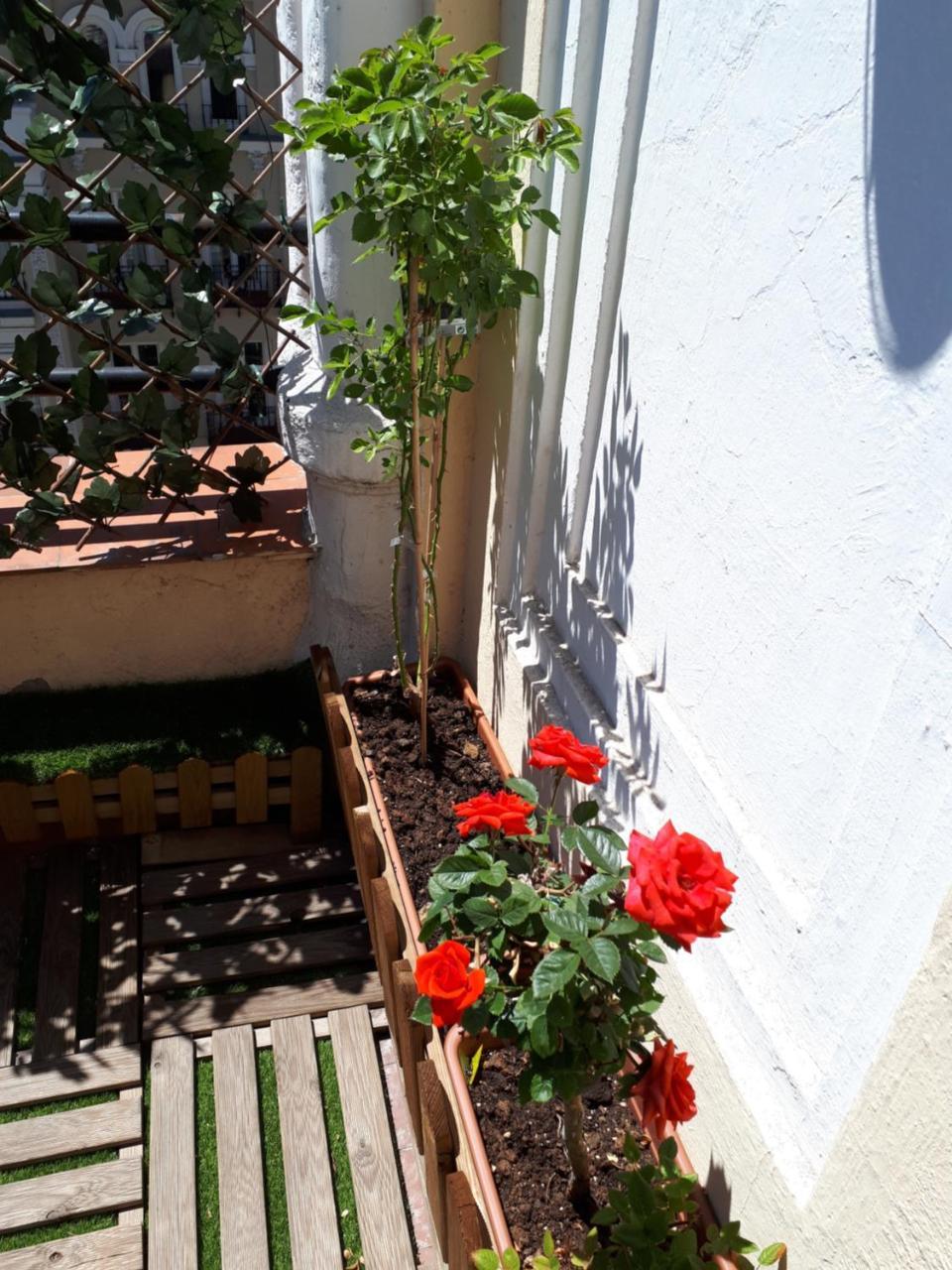 Gran Via Open Hostel