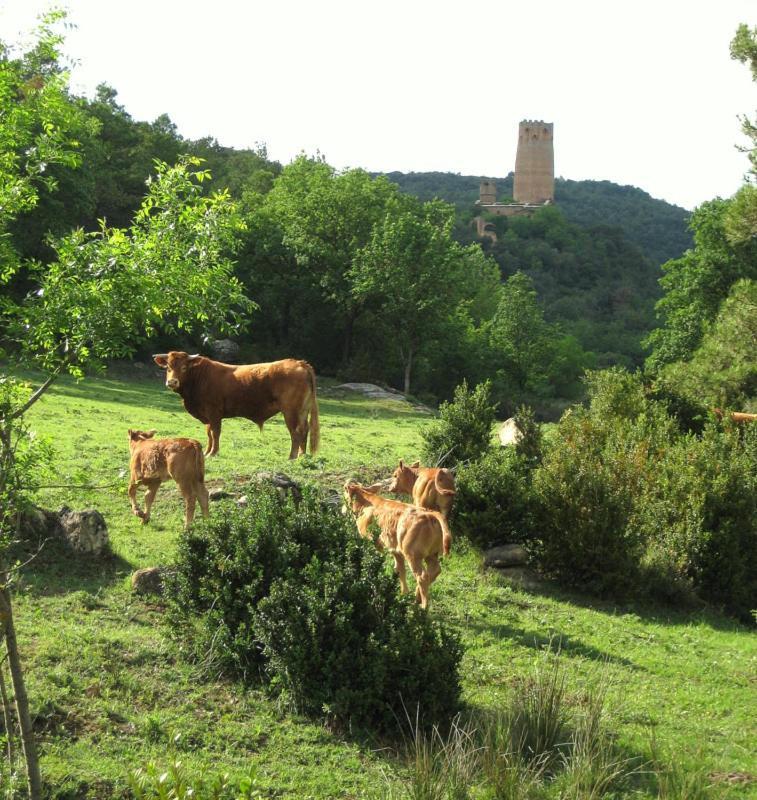 Hotel Rural Jaumet 2*