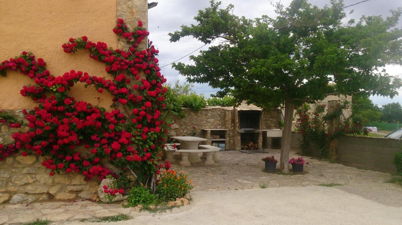 Masadas Country house *