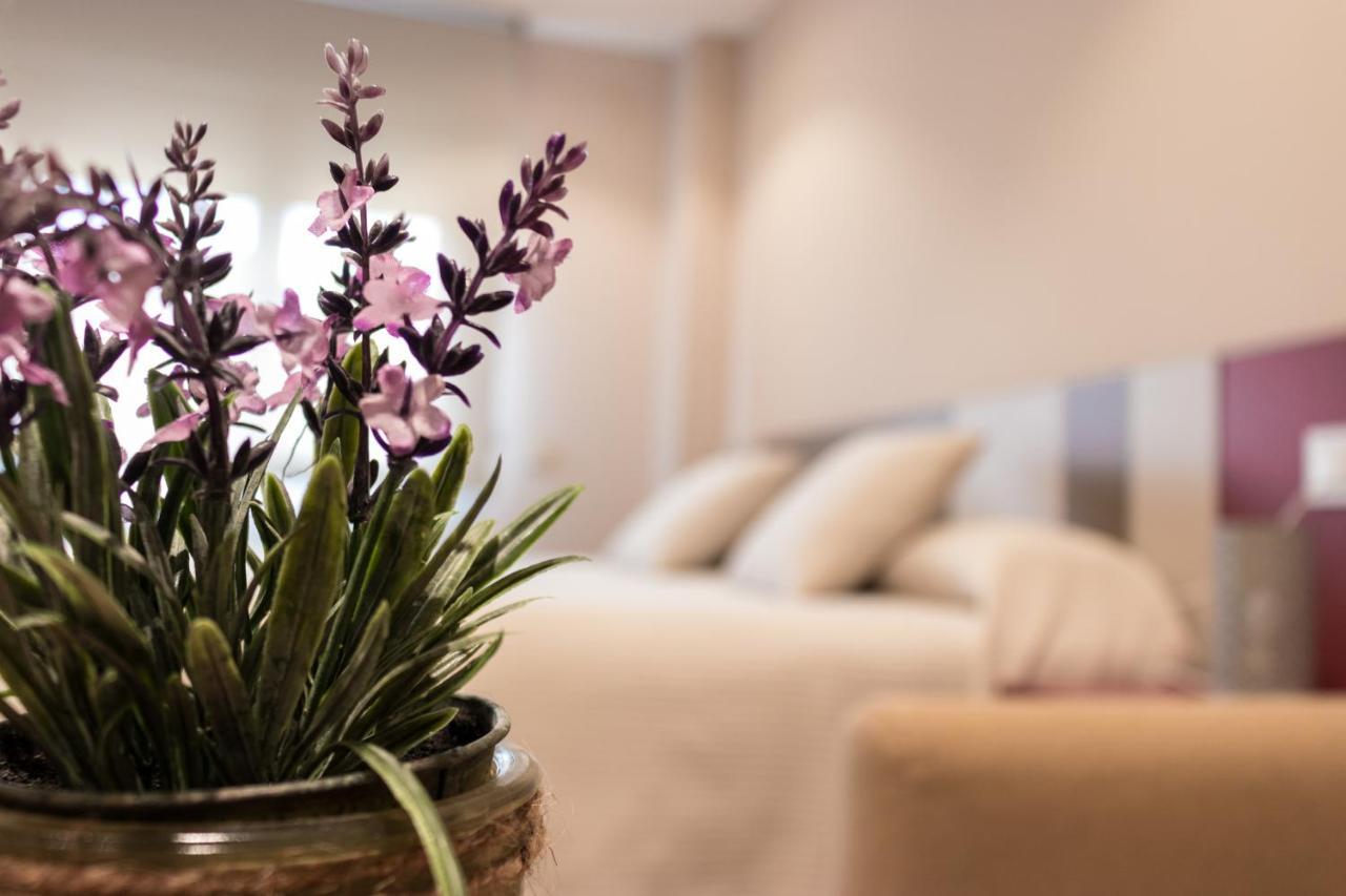 Estudios Doña Manuela Apartamento Daimiel