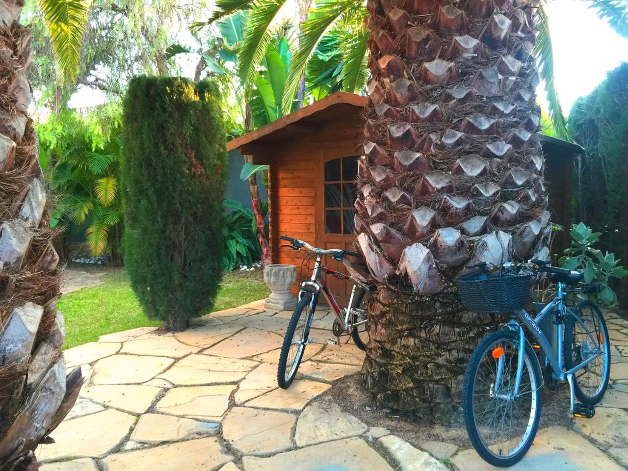De Lujo Con Jardines Y Piscina * El Puerto de Santa María