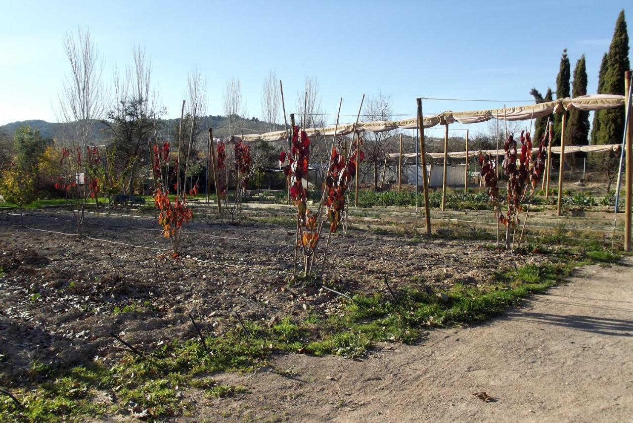 Centro De Agroecologia Y Medio Ambiente De Murcia