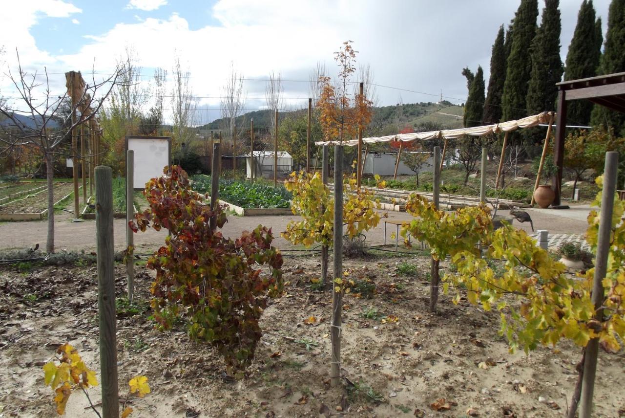 Centro De Agroecologia Y Medio Ambiente De Murcia Bullas
