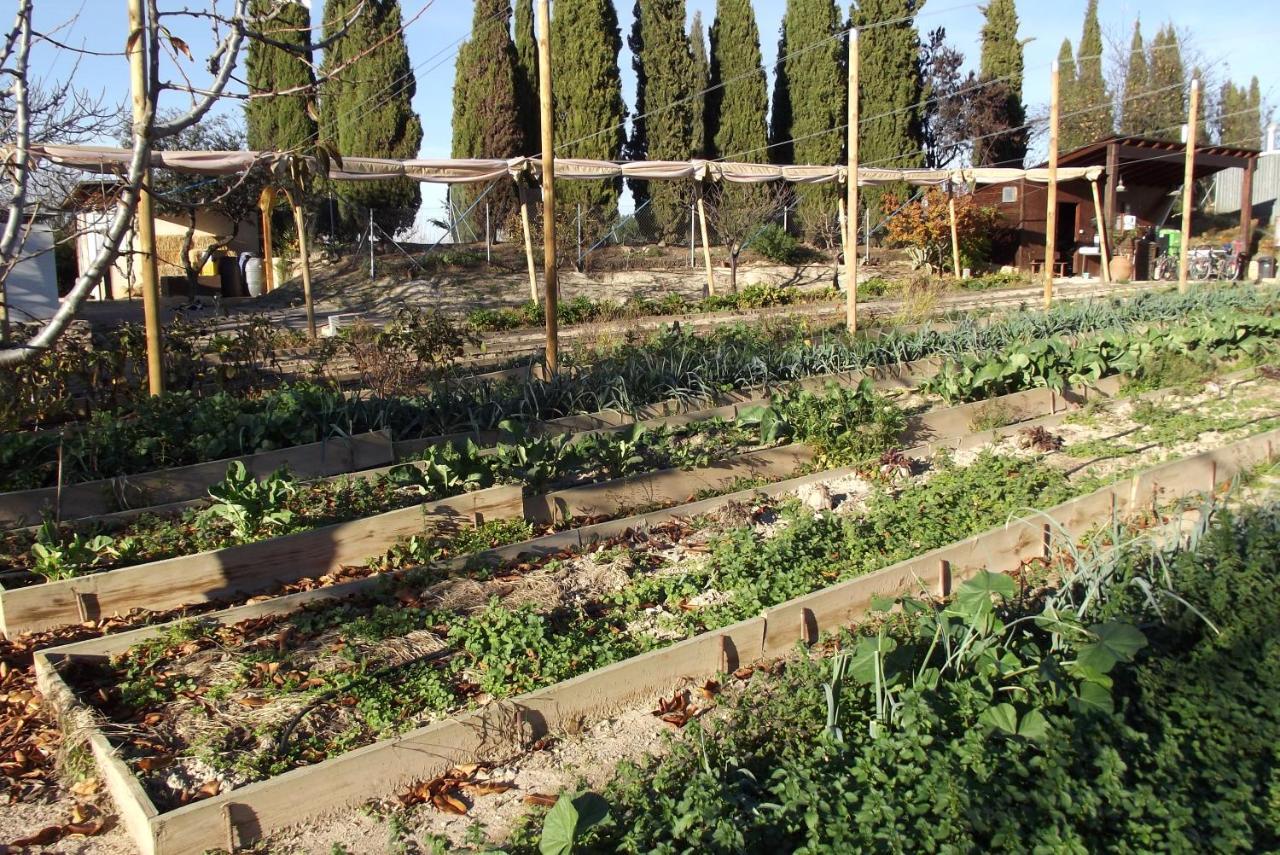 Apartamento Centro De Agroecologia Y Medio Ambiente De Murcia